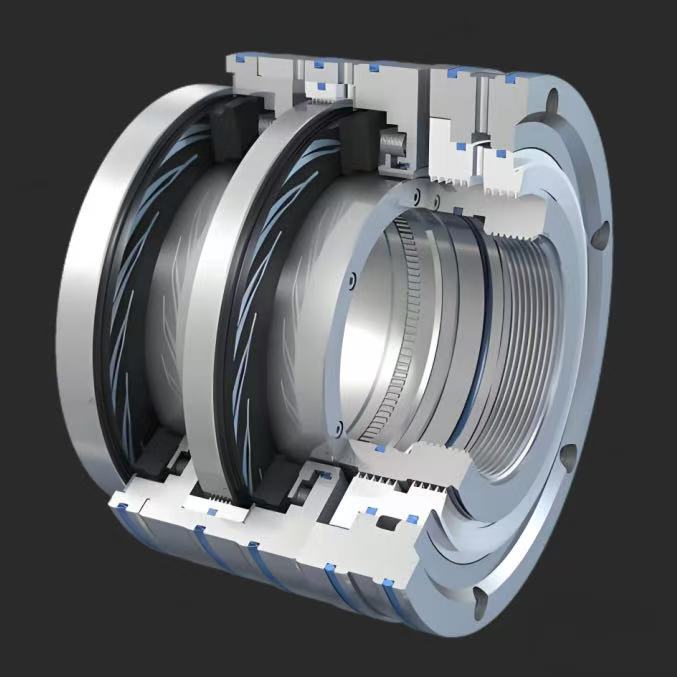 What is the Dry Gas Seal System?