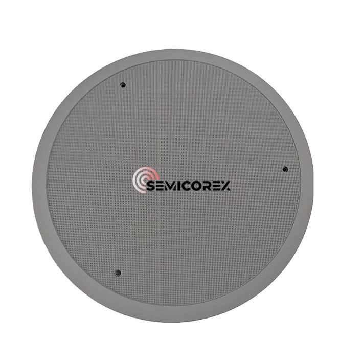 CVD SiC Showerheads
