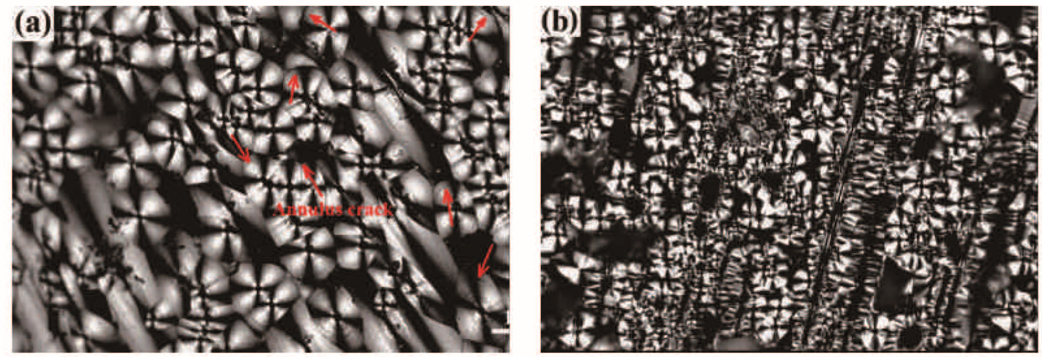 Heterogeneous nucleation-induced PLM morphology of pyrolytic carbon with different textures