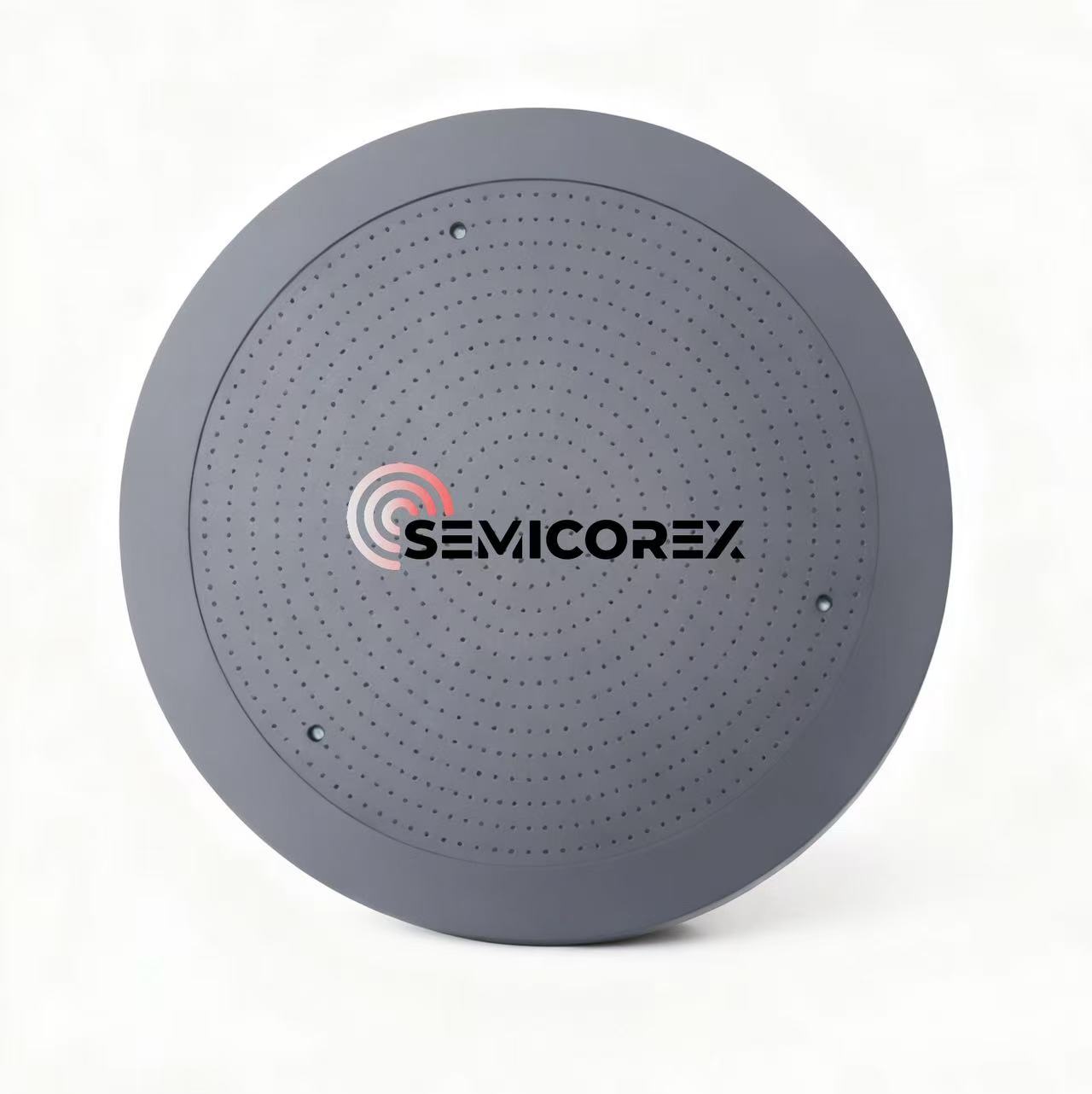 SiC coated graphite tray