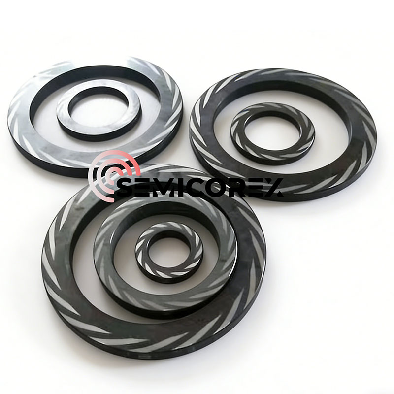 SiC Seal Face for DGS