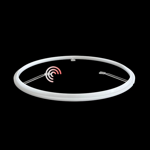 Support Ring